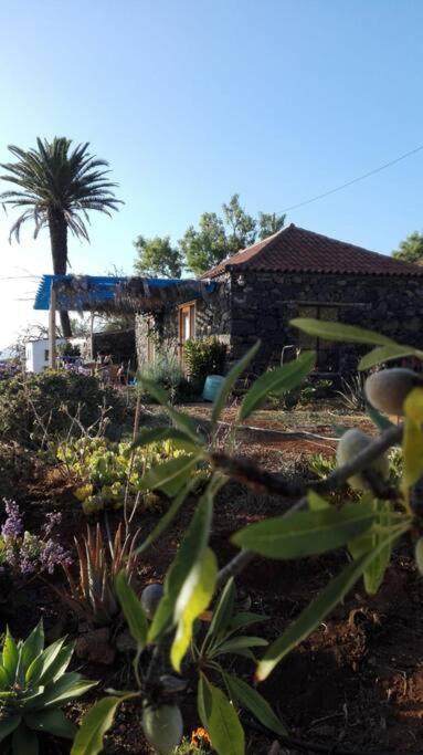 فيلا Casita En El Campo Con Vista Al Oceano تيخارافي المظهر الخارجي الصورة