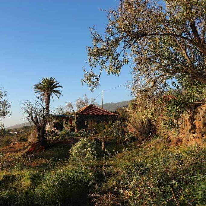فيلا Casita En El Campo Con Vista Al Oceano تيخارافي المظهر الخارجي الصورة