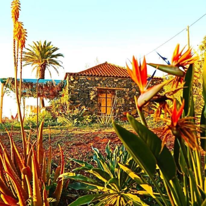 فيلا Casita En El Campo Con Vista Al Oceano تيخارافي المظهر الخارجي الصورة