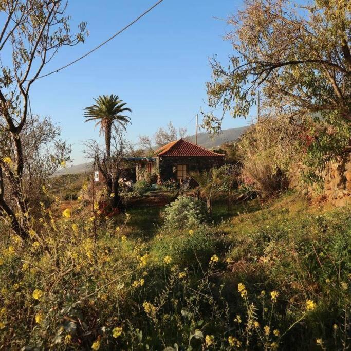 فيلا Casita En El Campo Con Vista Al Oceano تيخارافي المظهر الخارجي الصورة