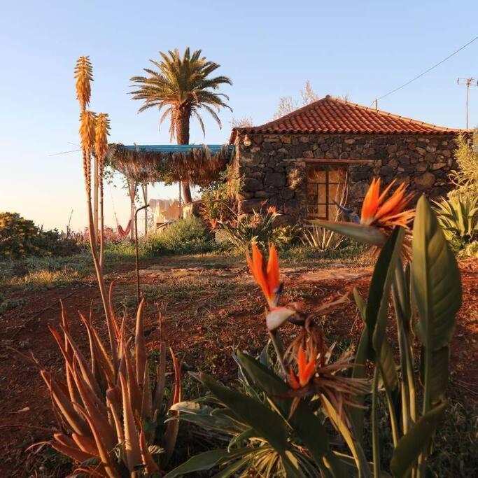فيلا Casita En El Campo Con Vista Al Oceano تيخارافي المظهر الخارجي الصورة