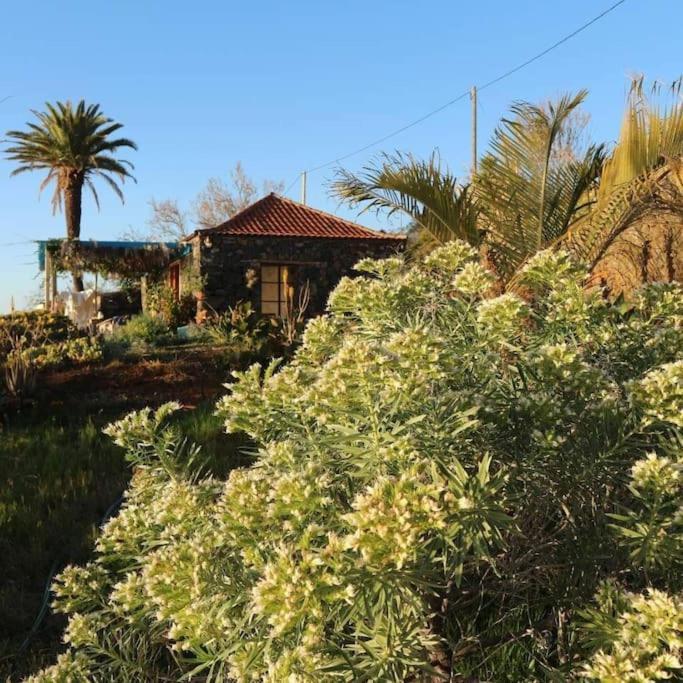 فيلا Casita En El Campo Con Vista Al Oceano تيخارافي المظهر الخارجي الصورة