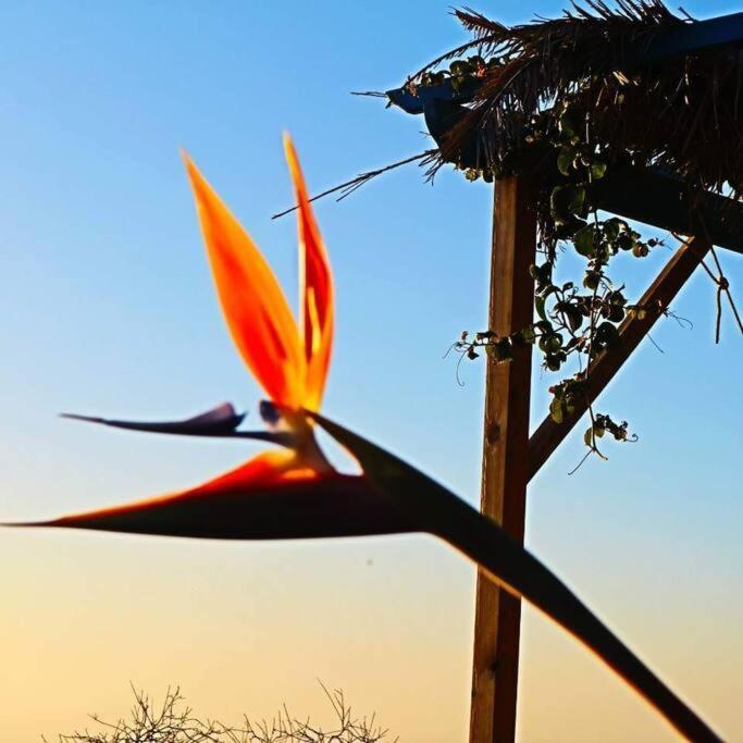 فيلا Casita En El Campo Con Vista Al Oceano تيخارافي المظهر الخارجي الصورة