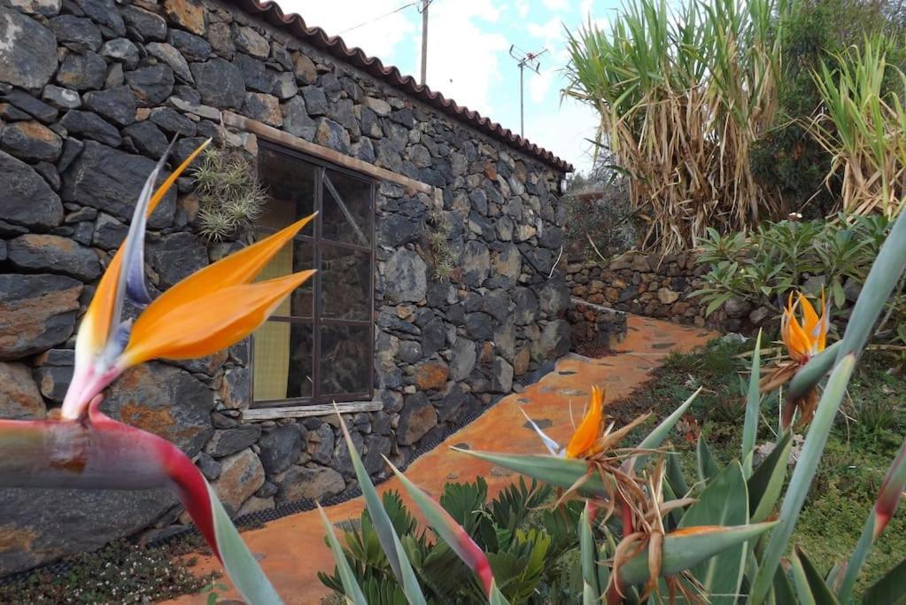 فيلا Casita En El Campo Con Vista Al Oceano تيخارافي المظهر الخارجي الصورة