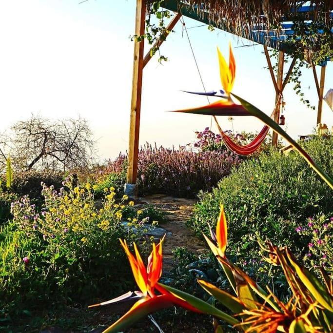 فيلا Casita En El Campo Con Vista Al Oceano تيخارافي المظهر الخارجي الصورة
