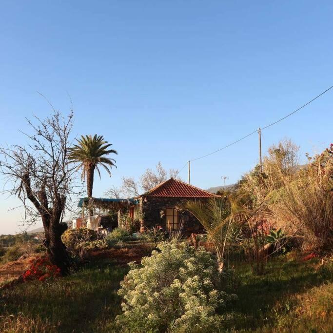 فيلا Casita En El Campo Con Vista Al Oceano تيخارافي المظهر الخارجي الصورة
